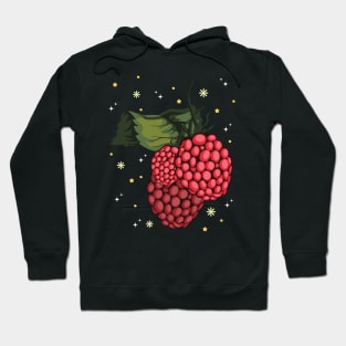 Raspberry Sorbet Hoodie